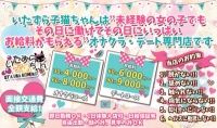 いたずら子猫ちゃん