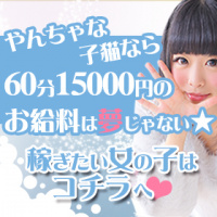 やんちゃな子猫谷九店