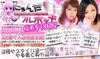 にゃんだふる日本橋店